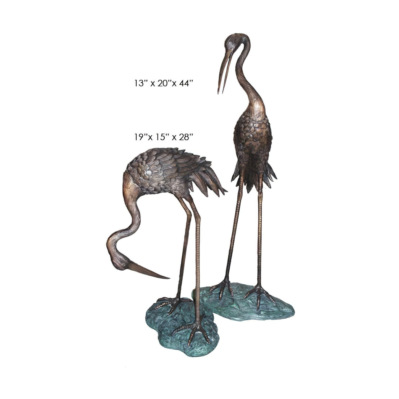 Bronze Egrets & Herons