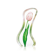 Pink Tulip Crystal Sculpture by Mats Jonasson