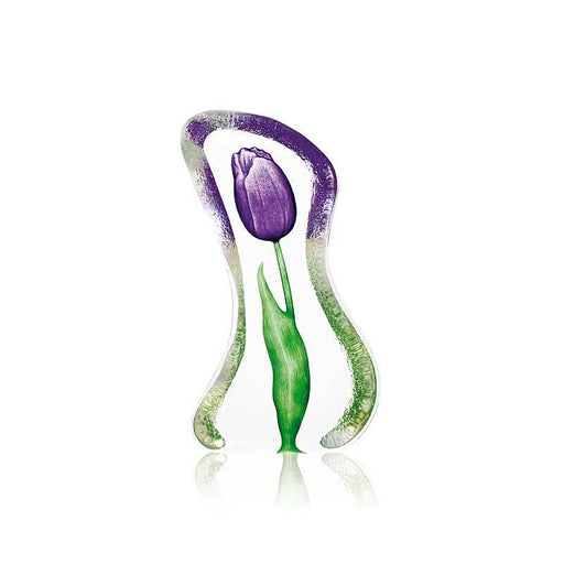Purple Tulip Crystal Sculpture-Small by Mats Jonasson