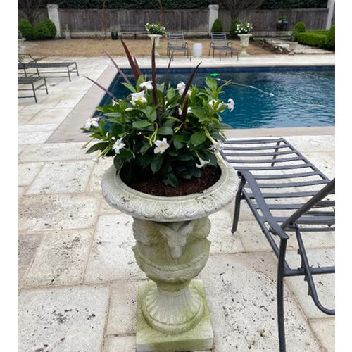 Ram and Garland Urn