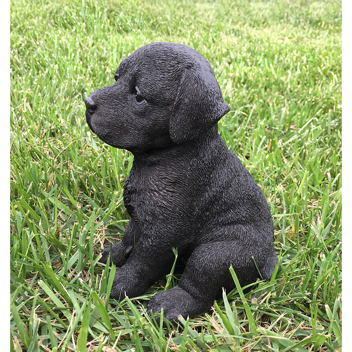 Realistic Black Labrador Puppy Statue Side View