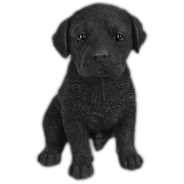Realistic Black Labrador Puppy Statue