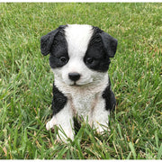 Realistic Border Collie Puppy Statue- Outdoor