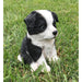 Realistic Border Collie Puppy Statue- Outdoor- Side View