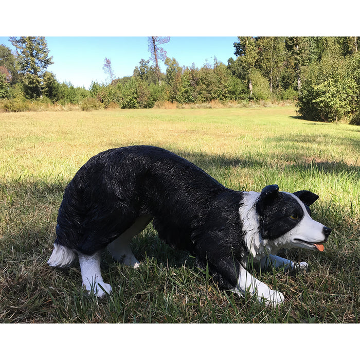 Realistic Border Collie Statue Side View In Grass