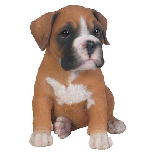 Realistic Boxer Puppy Statue