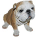 Realistic Bulldog Puppy Statue- 10 inch