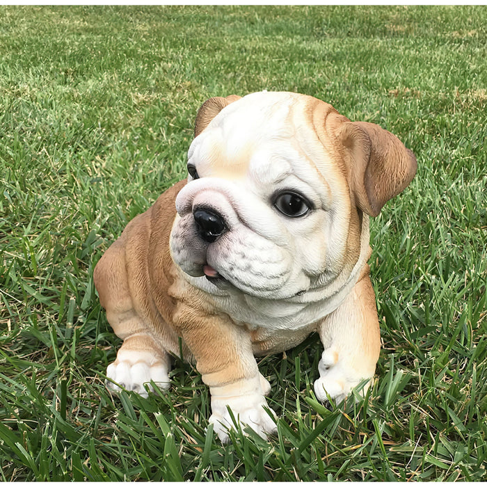 Realistic Bulldog Puppy Statue- Angled View in Grass