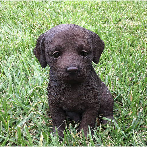 Realistic Chocolate Labrador Puppy Statue Front View In Grass