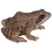 Realistic Frog Statue- 8.25 inch