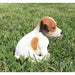 Realistic Jack Russell Terrier Puppy Statue- Outdoor- Side View