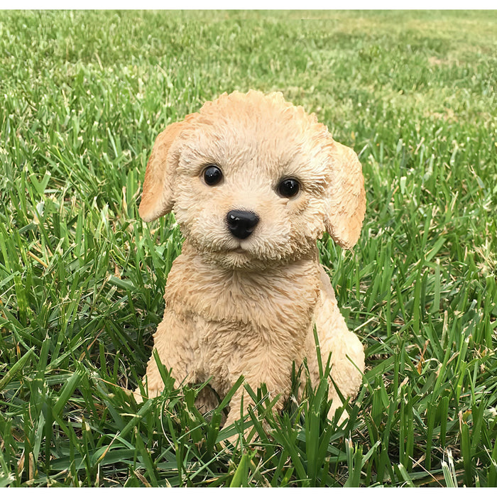 Realistic Labradoodle Puppy Statue- Outdoor