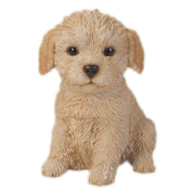 Realistic Labradoodle Puppy Statue