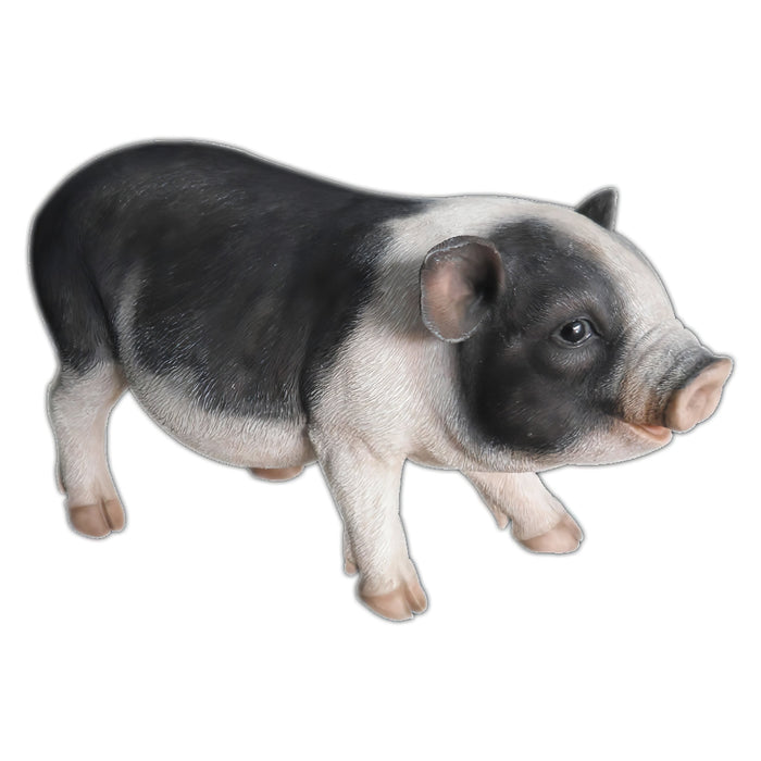 Realistic Pot Bellied Pig Statue- 17 inch