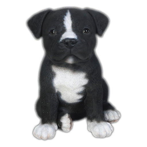 Realistic Staffordshire Terrier Puppy- Black/White