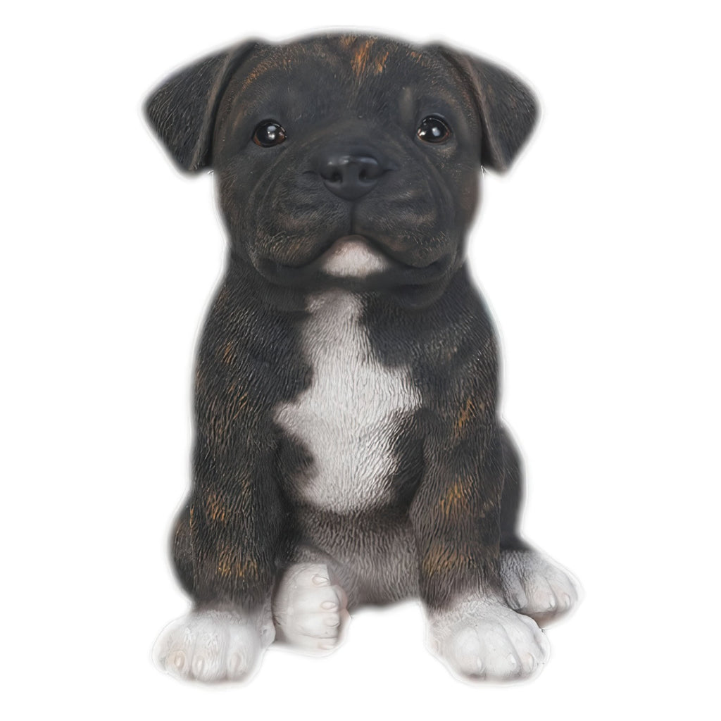 Brindle staffordshire bull terrier fashion puppy