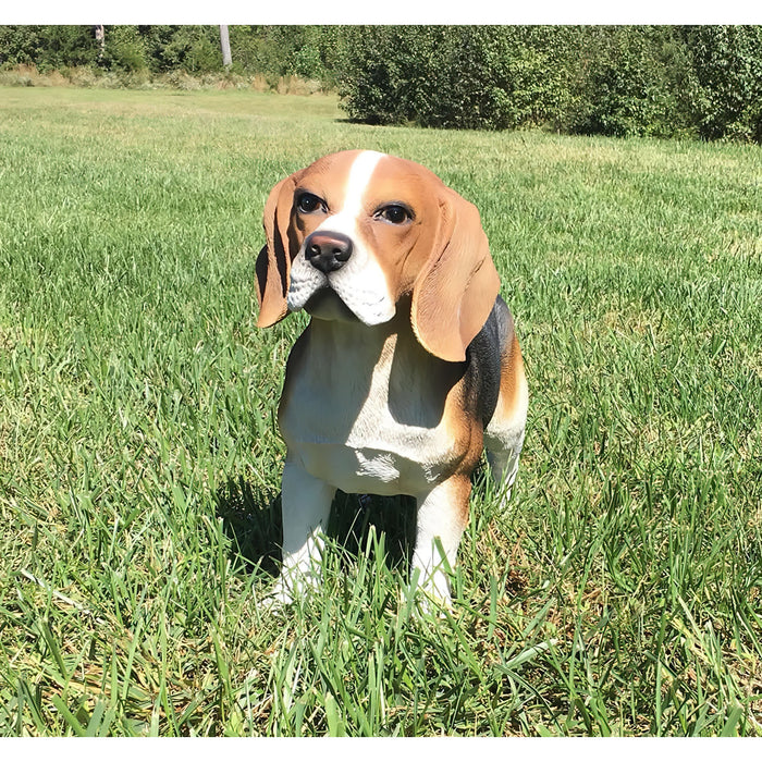 Realistic Standing Beagle Dog Statue- Front View In Grass