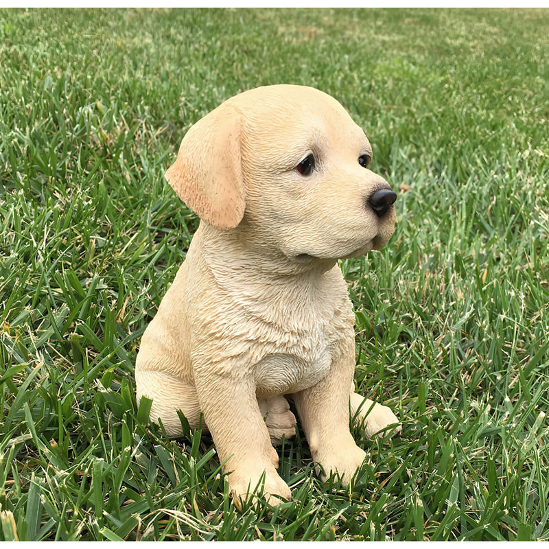 Realistic Yellow Labrador Retriever Puppy Statue Front View
