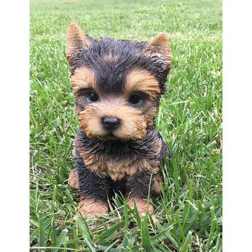 Realistic Yorkshire Terrier Puppy Statue- Outdoor