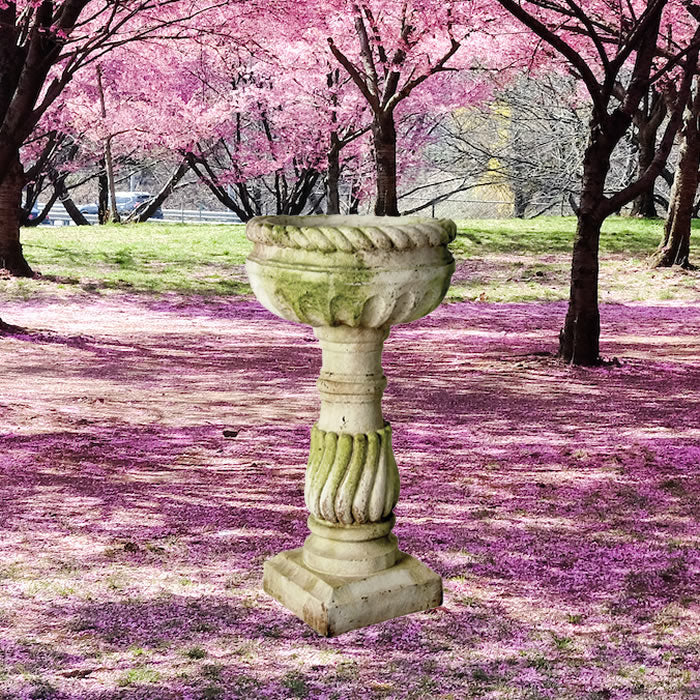 Roma Bird Bath