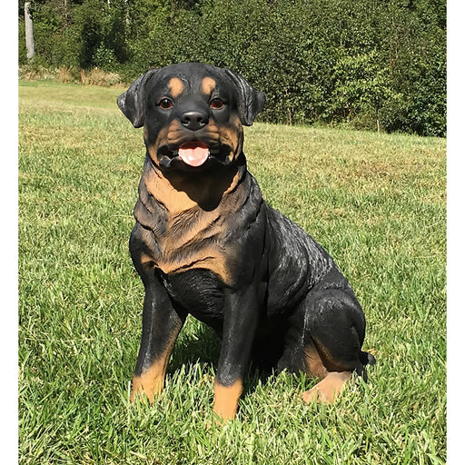 Rottweiler Dog Statue- Front View In Grass