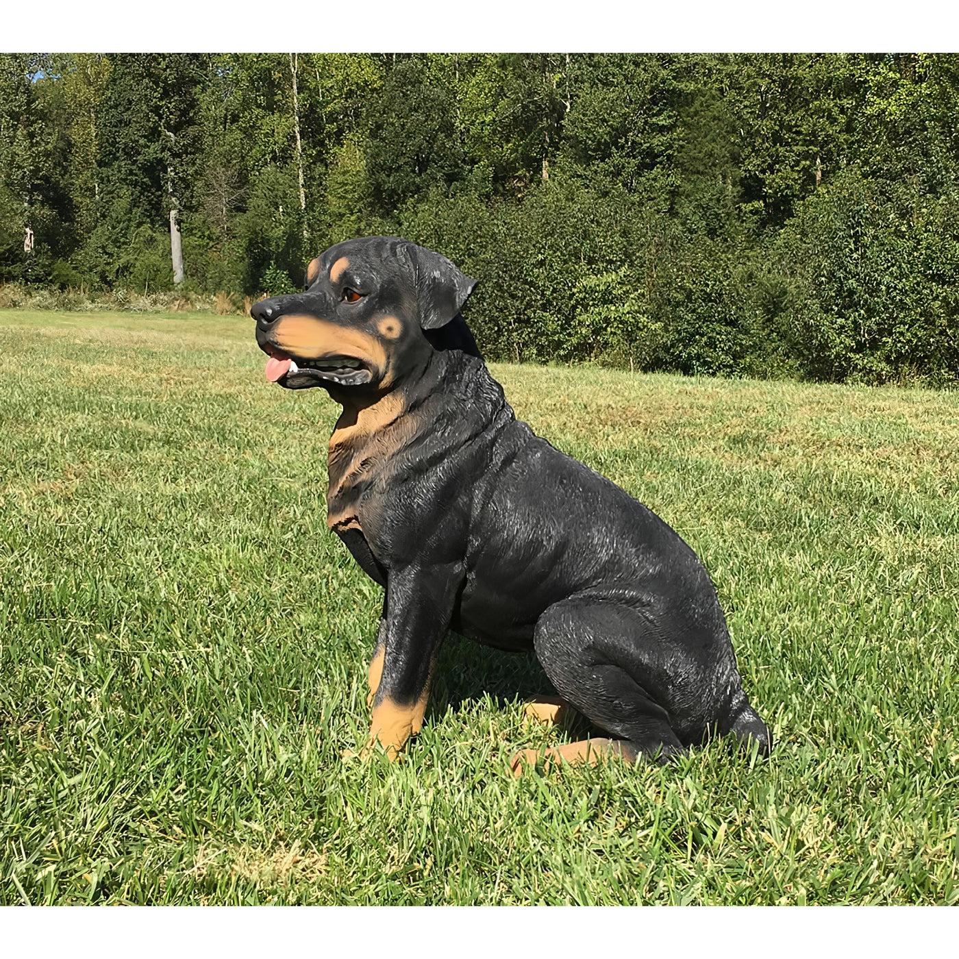 Vintage Rottweiler Rottweiler Dog Statue- 21