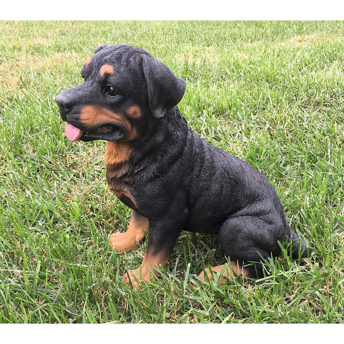 Rottweiler Dog Statue- Outdoor- Side View