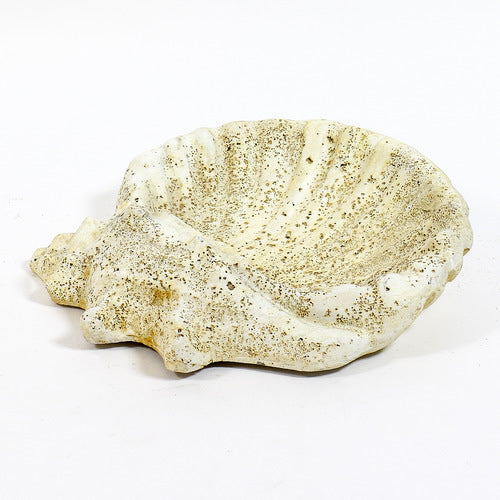 Shell Bird Bath