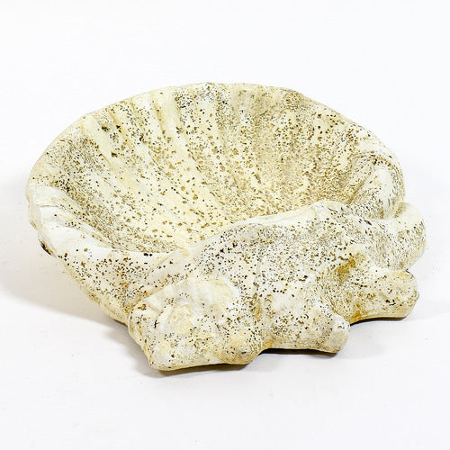 Shell Bird Bath