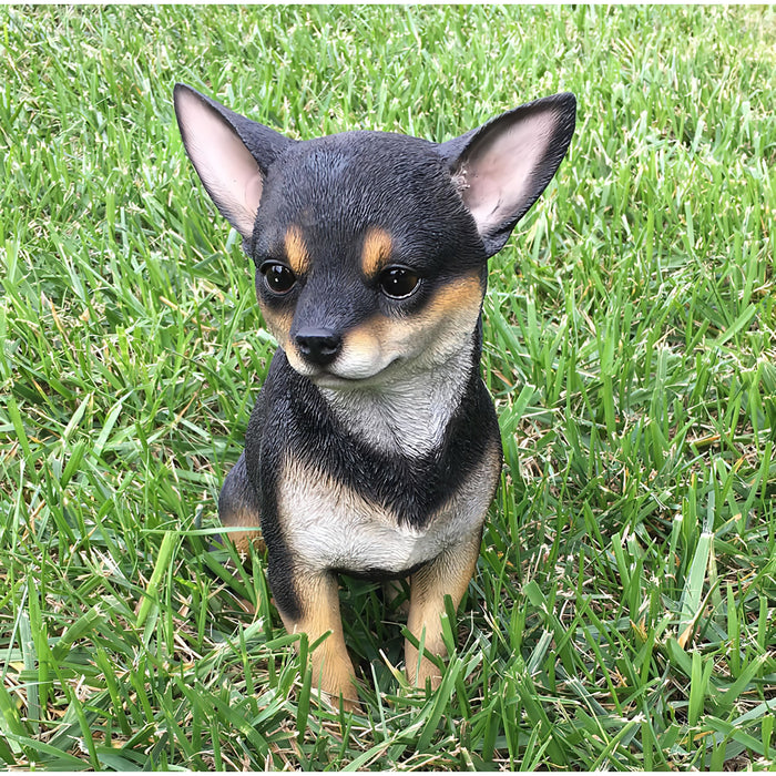 Sitting Chihuahua Statue- Black/White- Outdoors