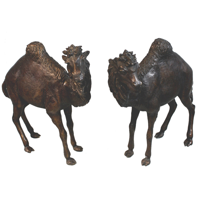 Standing Camel Sculptures-Pair