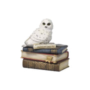 Snow Owl On Books Trinket Box- Painted