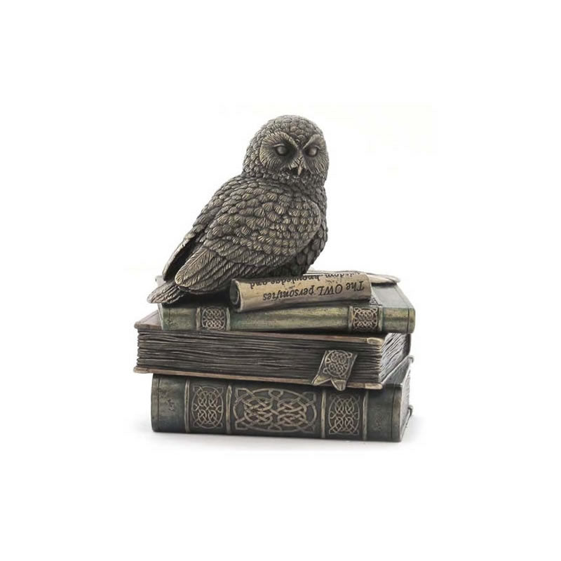 Snow Owl On Books Trinket Box