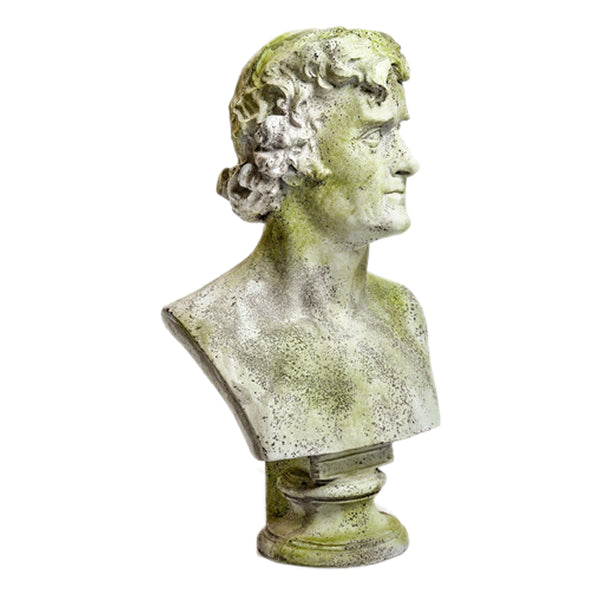 Thomas Jefferson Bust