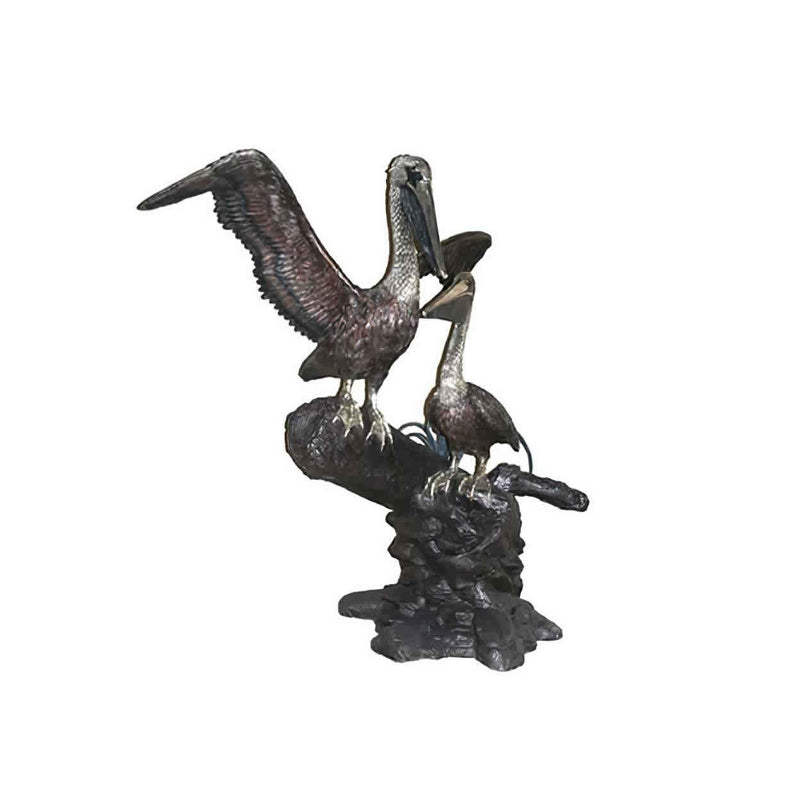 Two Pelicans Bronze Sculpture