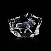 Walking Moose Crystal Statue by Mats Jonasson