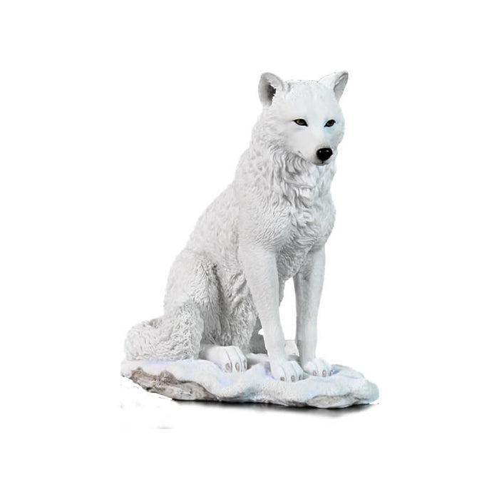 White Wolf Sitting In Snow