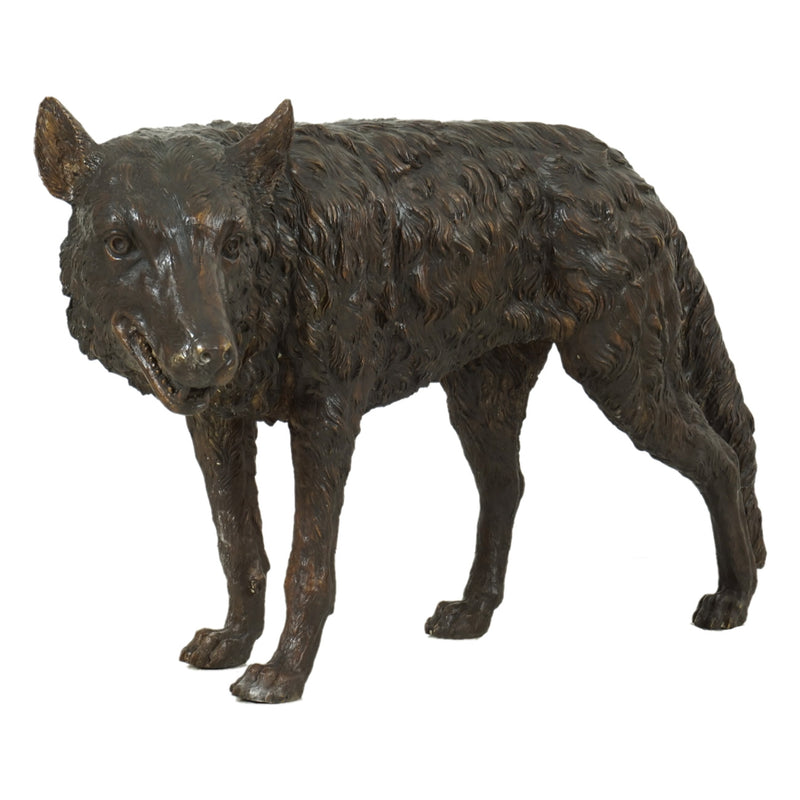 Standing Wolf Bronze Sculpture
