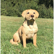 Yellow Labrador Retriever Statue- Front View In Grass