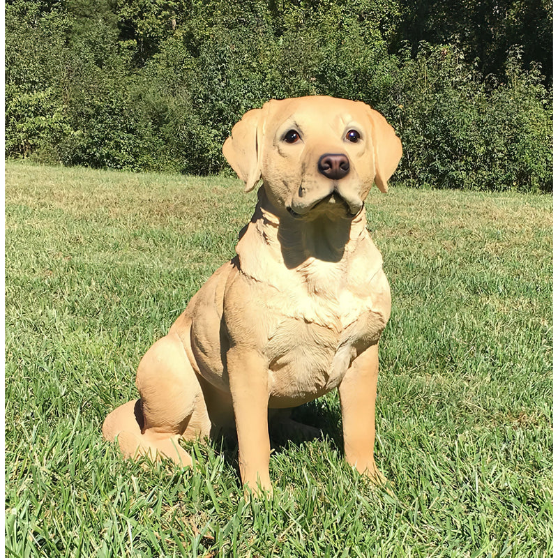 Yellow Labrador Retriever Statue- Front View In Grass