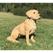 Yellow Labrador Retriever Statue- Side View In Grass