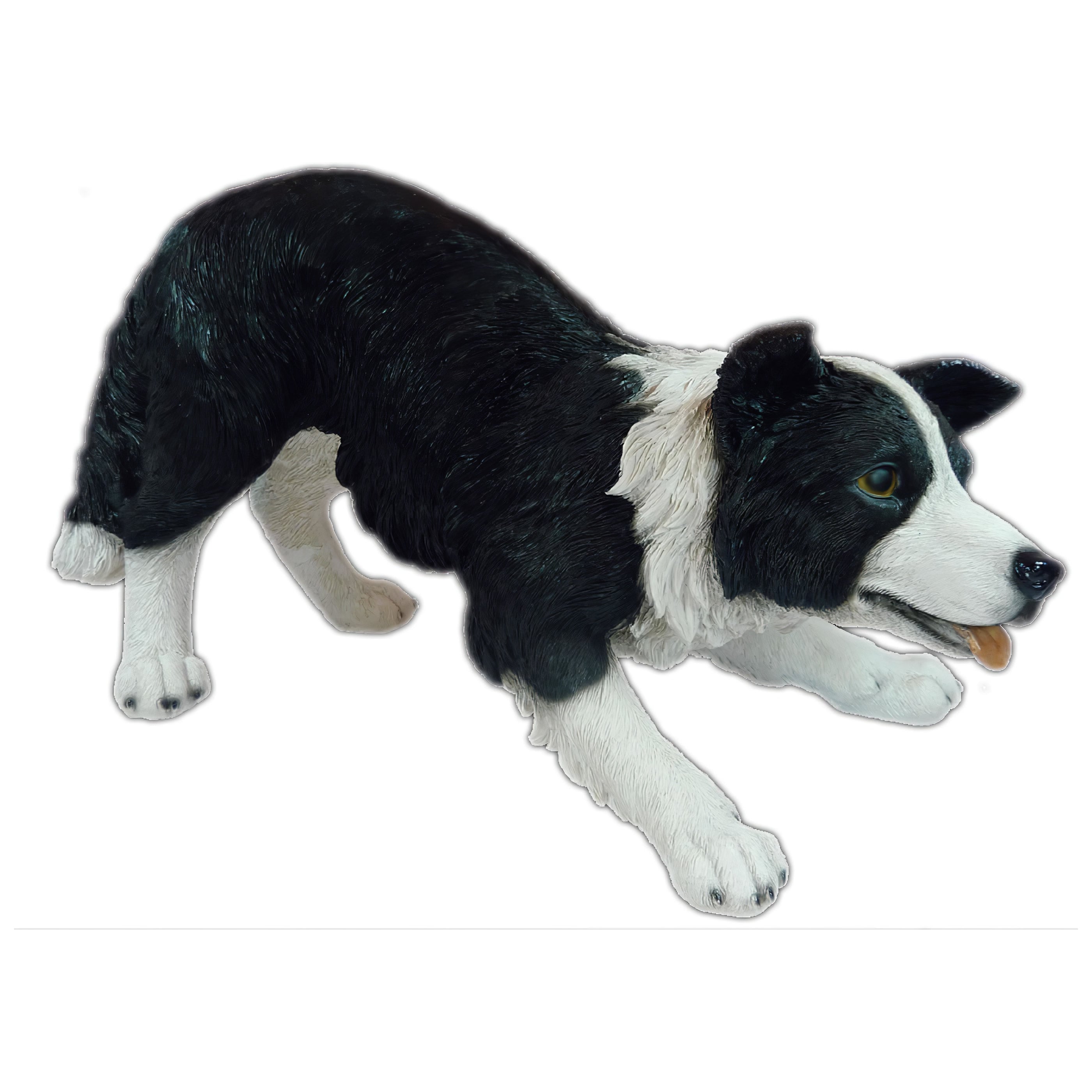 Realistic Border Collie Statue 24.75